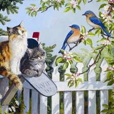 Схема вышивки «котики и птички»