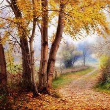 Схема вышивки «осень в парке»