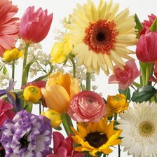 Схема вышивки «Лето 2»