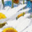 Предпросмотр схемы вышивки «Ромашки» (№915040)