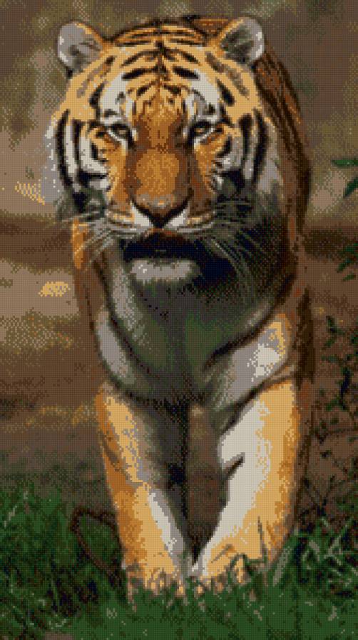 Тигр на поляне - предпросмотр