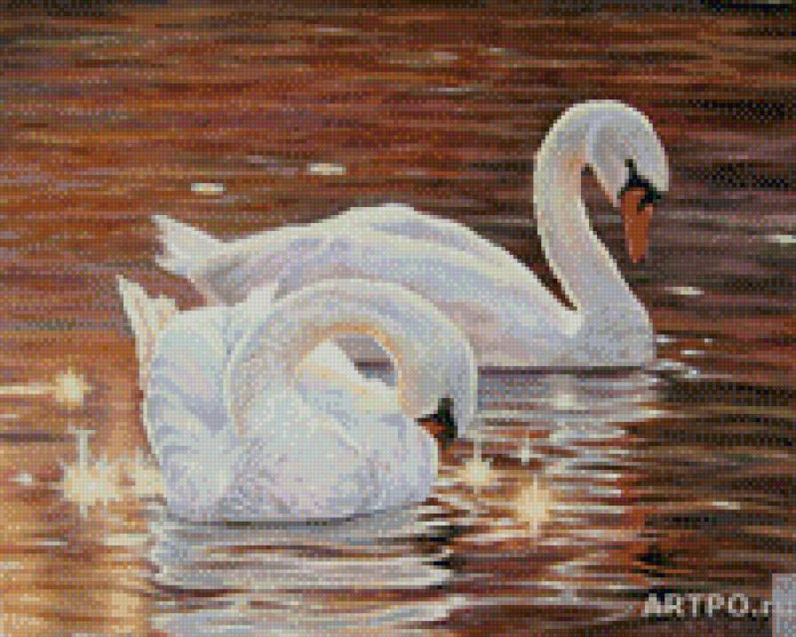 №915071 - предпросмотр