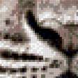 Предпросмотр схемы вышивки «тигр» (№915093)