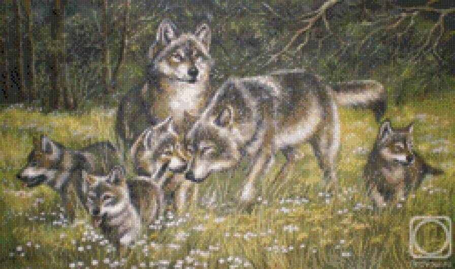 №915125 - предпросмотр