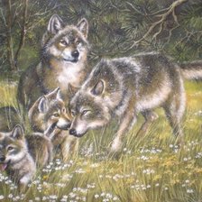 Схема вышивки «№915125»