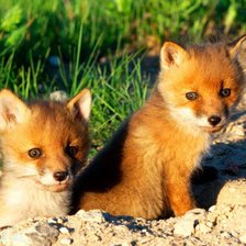 Схема вышивки «№915130»