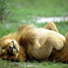 Схема вышивки «№915131»