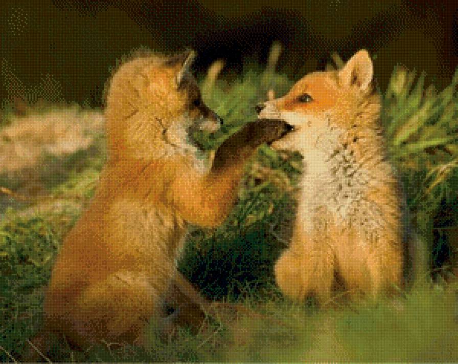 №915144 - предпросмотр