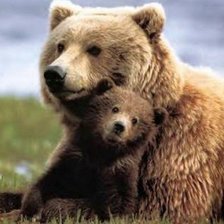 Схема вышивки «№915162»