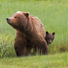 Схема вышивки «№915164»
