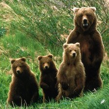 Схема вышивки «№915166»