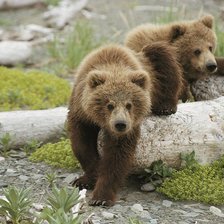 Схема вышивки «№915169»