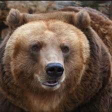 Схема вышивки «№915172»