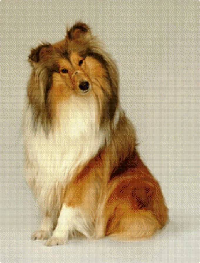 №915173 - предпросмотр