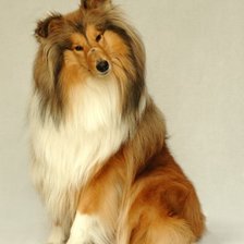 Схема вышивки «№915173»