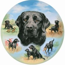 Схема вышивки «№915176»