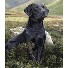 Схема вышивки «№915180»