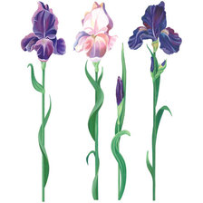 Схема вышивки «№915231»