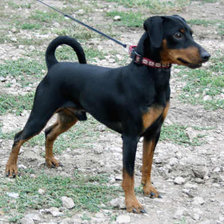 Схема вышивки «№915242»