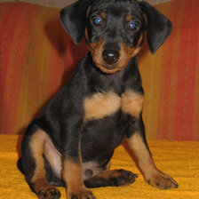 Схема вышивки «№915245»