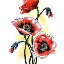 Схема вышивки «маки»