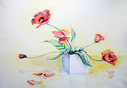 маки - цветы, рисунок - оригинал