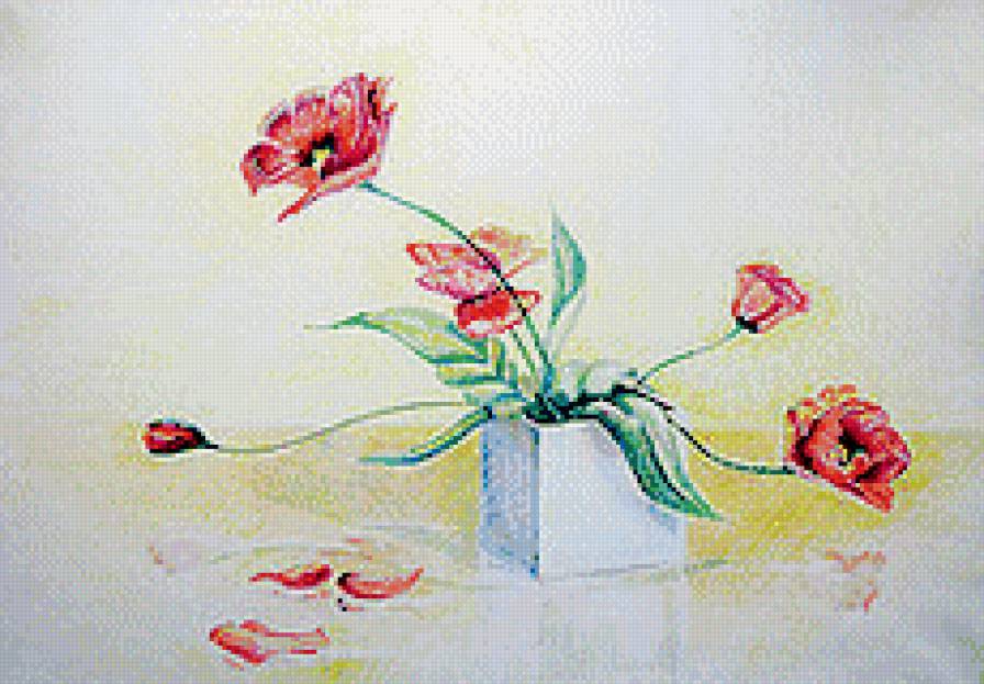 маки - цветы, рисунок - предпросмотр