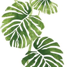 Схема вышивки «Monstera»