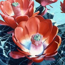 Схема вышивки «красные цветы»