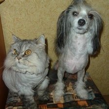 Схема вышивки «№916059»