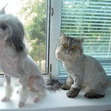 Схема вышивки «№916062»