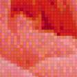 Предпросмотр схемы вышивки «роза» (№916096)