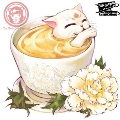 чашка кота 6 - животные, кошка, чай - оригинал