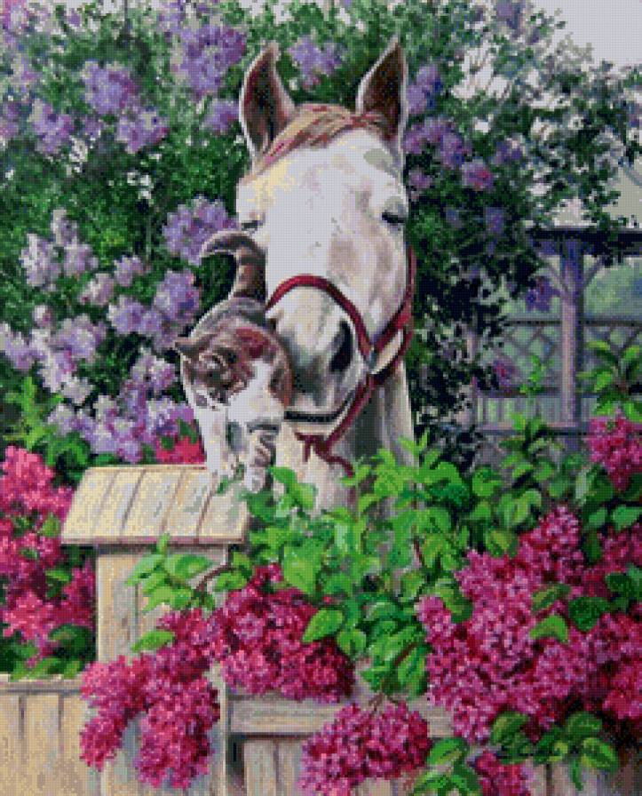 Конь и кот - конь, кот - предпросмотр