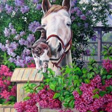 Схема вышивки «Конь и кот»