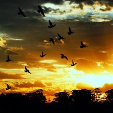 Схема вышивки «№916315»