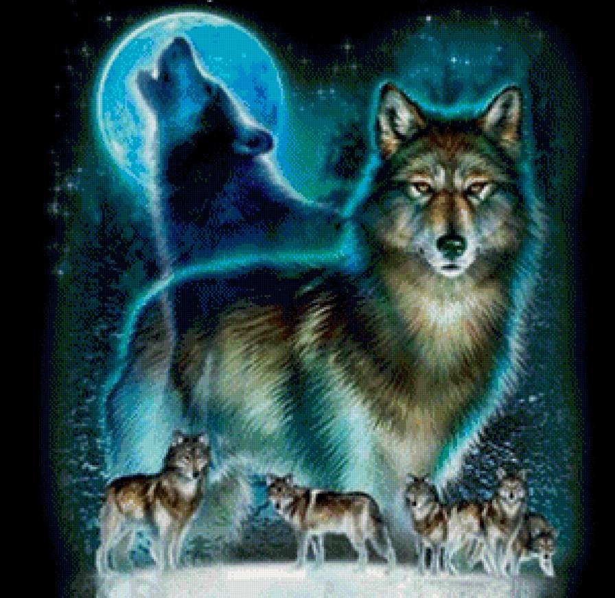 Волки - животные, луна, волки - предпросмотр