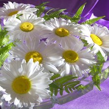 Схема вышивки «№916553»