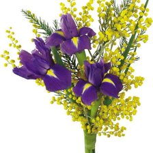 Схема вышивки «№916554»