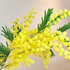 Схема вышивки «№916561»