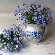 Схема вышивки «№916564»