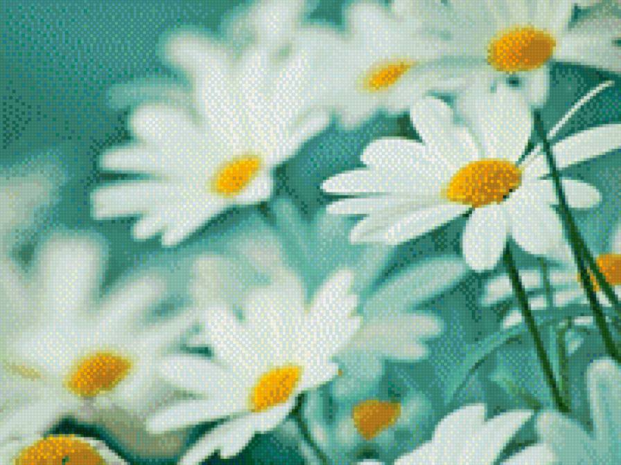 №916565 - предпросмотр