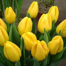 Схема вышивки «№916572»