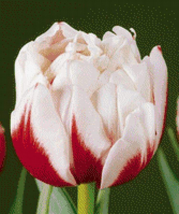 №916573 - предпросмотр