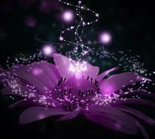 Схема вышивки «Волшебный цветок»