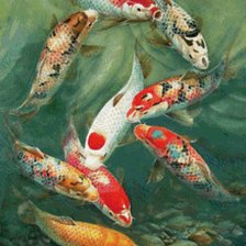 Схема вышивки «9 карпов»