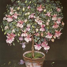 Схема вышивки «№916617»