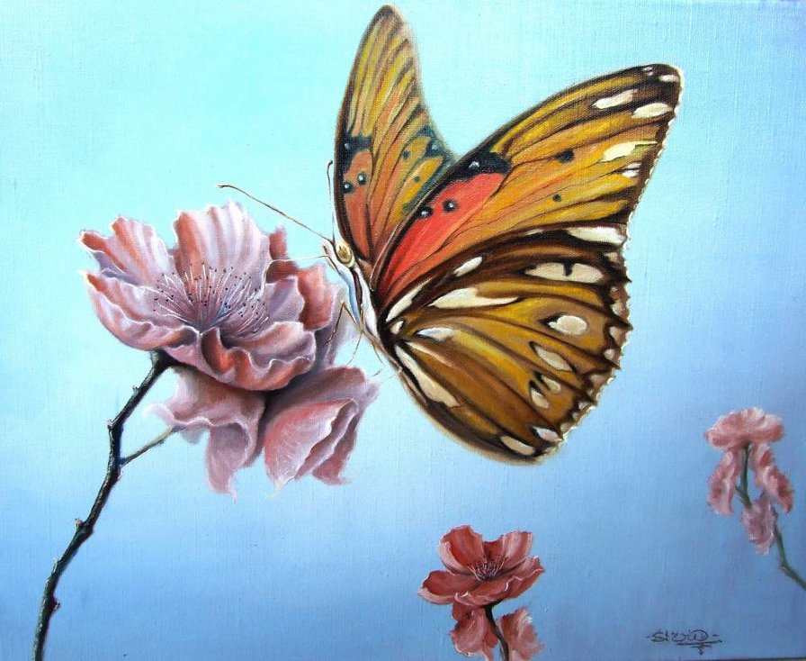 бабочка - бабочка - оригинал