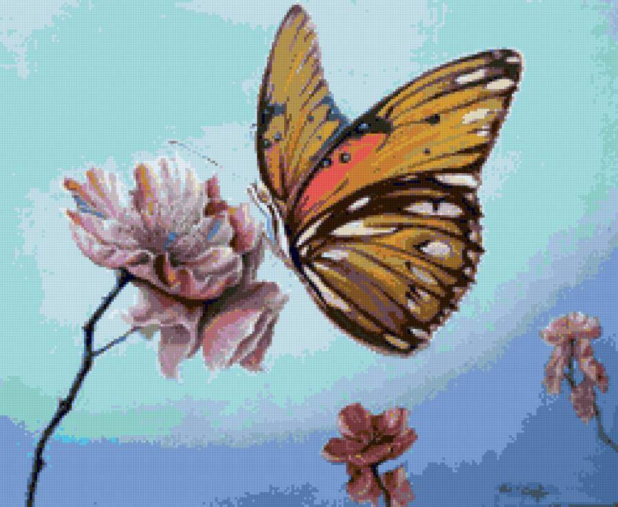 бабочка - бабочка - предпросмотр