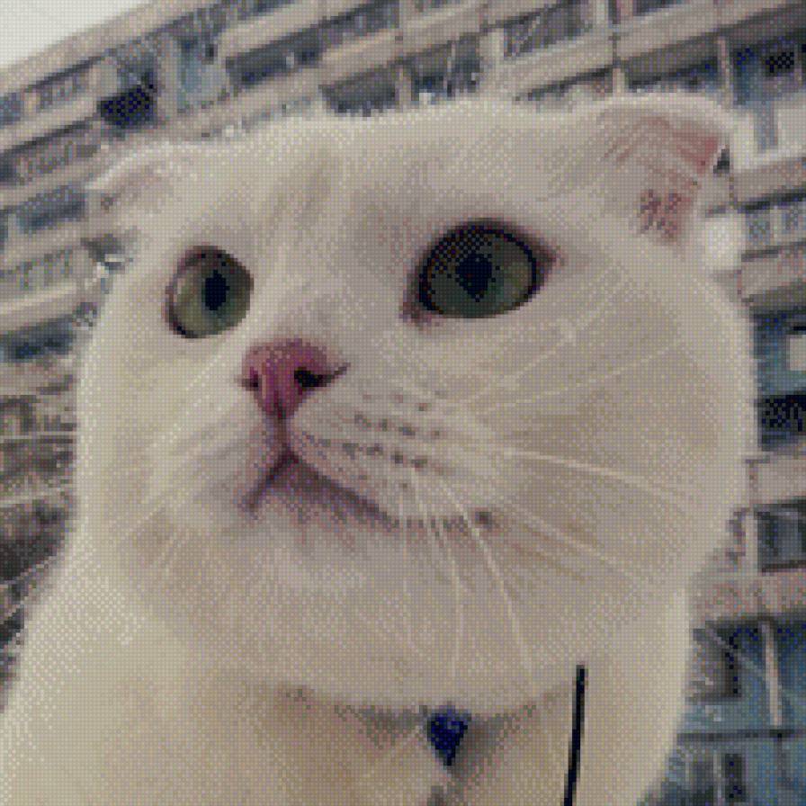 Зефирный кот - коты, кошки - предпросмотр